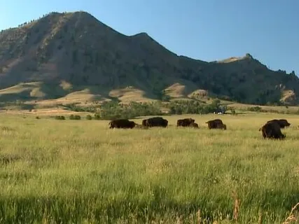 Bear Butte Sacred Earth Activation