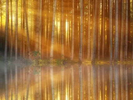 Bearing The Beams Of Love