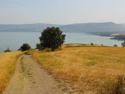 Beatitudes 10: The Beatitudes