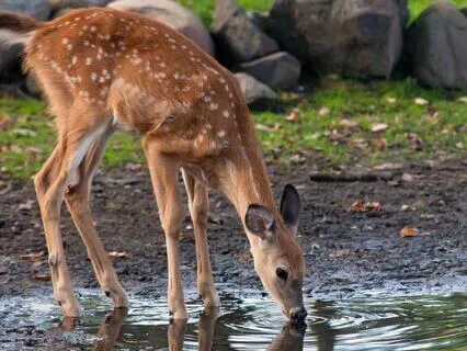 Beatitudes 4: Those Who Hunger & Thirst