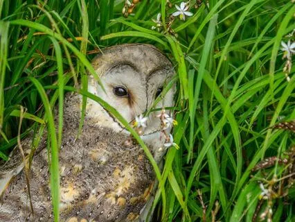 Beatitudes 8: The Persecuted