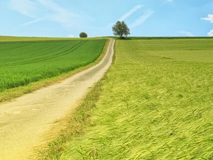 Beautiful Ambient Meditation Music: A Mid-Summer Day’s Dream