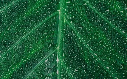 Beautiful Ambient Music With 258 Hz Music