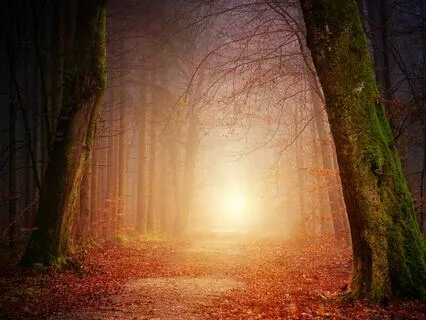 The Beauty Of Boundaries