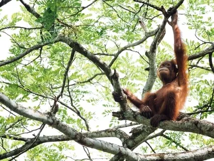 Beautiful Earth | There Is Still Hope