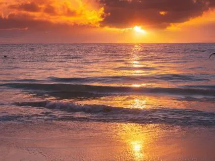 Beautiful Evening Relaxation | Release The Day & Find Calm