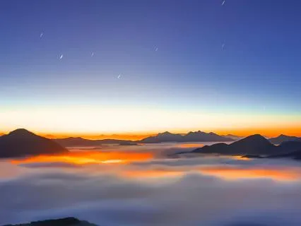 Beautiful Garden Euphoria