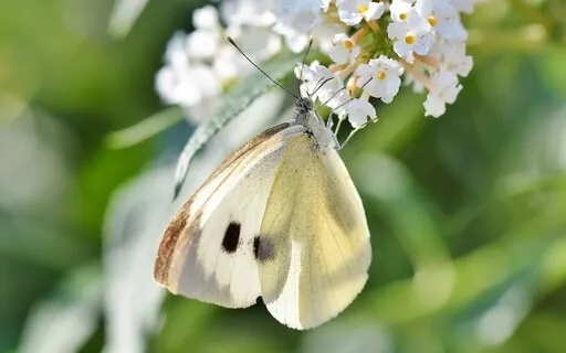 Beautiful Gifts (With Piano Music)