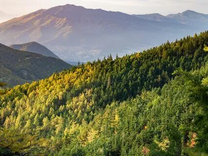 Beautiful Healing Music - 432 Hz