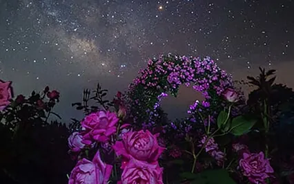 Beautiful Island Meditation For Sleep