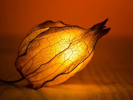 Beautiful Lounge 4 (Piano)