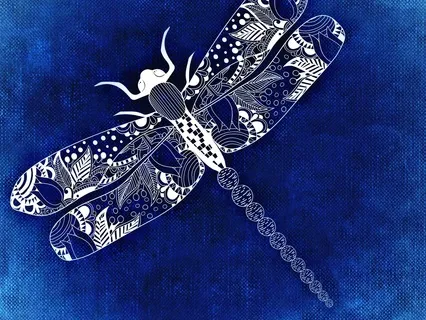 Beautiful Magical Journey Dream