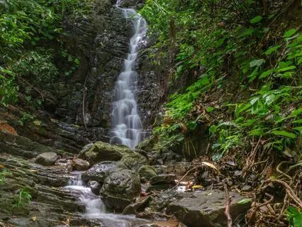 Flute Of The Hidden Grove – Part 1 (10 Days For Focus)