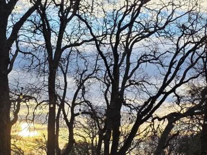 Beautiful Morning: A Short Pause Of Appreciation