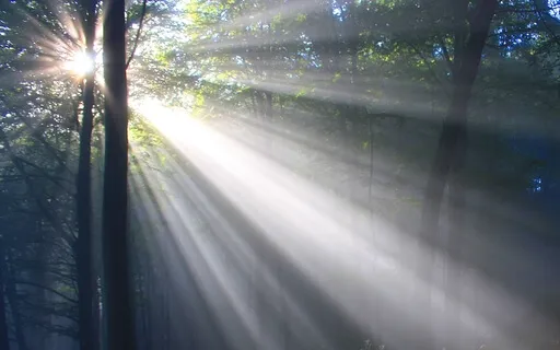 Beautiful Morning: Energizing NatureMusic To Wake Up