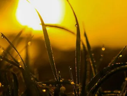 Beautiful Morning Music – Wake Up Happy And Inspired