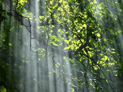 Beautiful Morning: Relaxing Sounds For Mindfulness Meditation, Study & Yoga