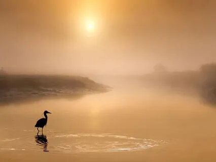 Beautiful Morning: Uplifting Morning Music to Start Your Day