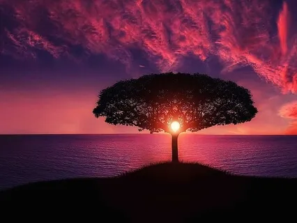 Beautiful Music For Inspirational Calm