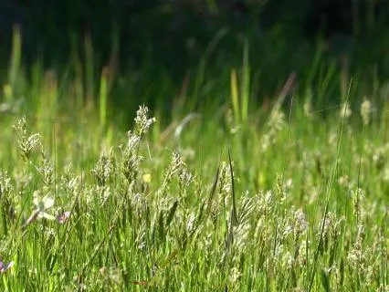 Beautiful Nature & Piano