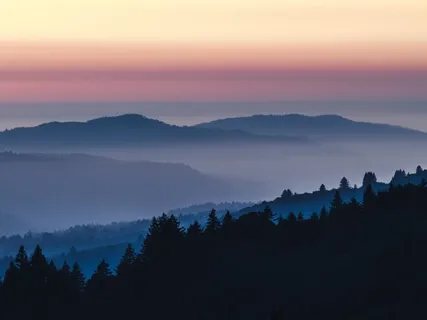 Beautiful New Day - Meditation Music - Calm Relaxing Ambient Nature Sounds