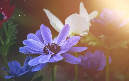 Beautiful Piano Music To Soothe Your Soul