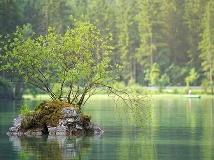 Beautiful Piano Music with Nature Sounds