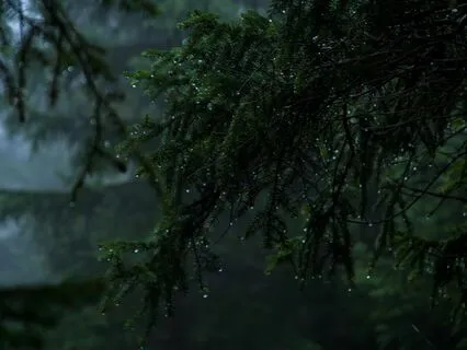 Beautiful Piano Particles Soundscapes And Natural Rain Sound