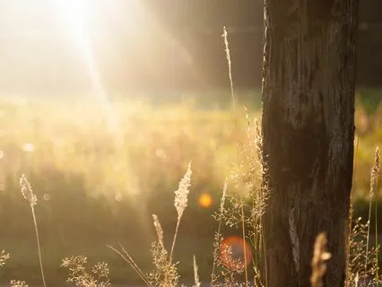 Beautiful Piano Relaxation 432Hz With Nature Sounds