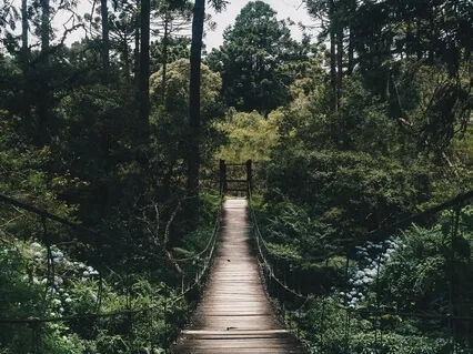 Beautiful, Relaxing Music For Stress Relief