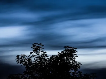 Beautiful, Relaxing Music For Stress Relief