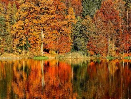 Beautiful Relaxing Music,  Soothing September Autumn Leaves