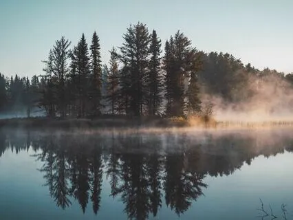 Beautiful Relaxing Piano With Nature Sounds