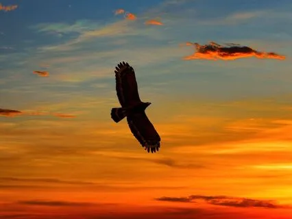 Beautiful Relaxing Sleeping Aid