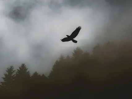 Beautiful Sleep Music - 432Hz