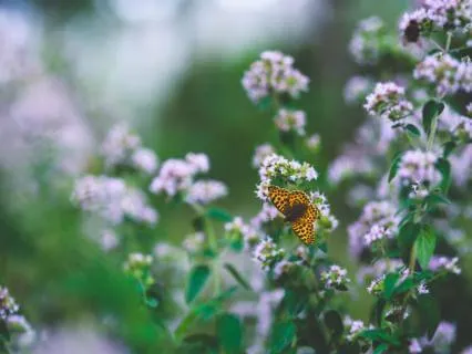 Beauty And Connection Is In Your Eye, Rest Here (Feb 17, 26)