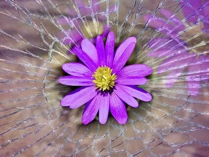 Beauty In Brokenness