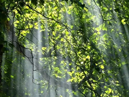 Beauty In Dystopias - Electrify Your Morning