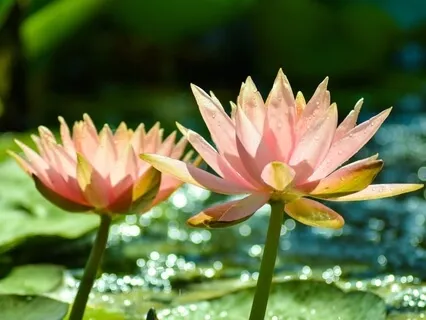 Beauty In Every Moment - A Meditative Prayer