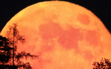 Beaver Full Moon | Reflect On Relationships