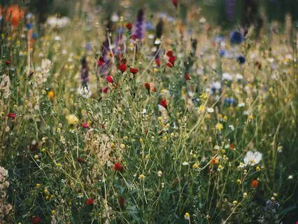 Because I Can - Morning Affirmations