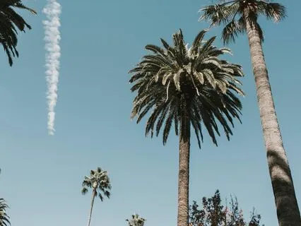 Become A Magnet To Success By Being Seen