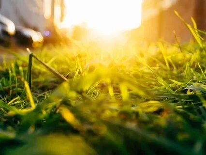 Become An Instrument Attuned To The Light And Love Of God 