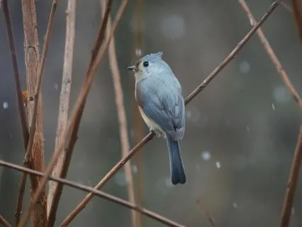 Become An Instrument Of Peace