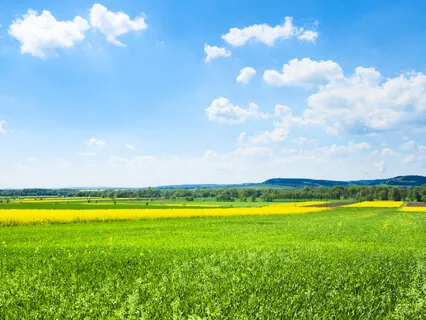 Become Calm & Steady