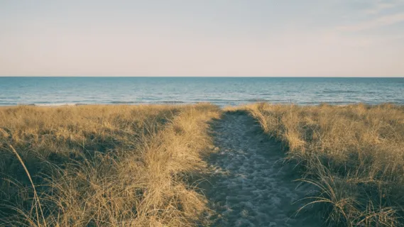 Become Calm, Centered & Focused  - 10 Min Daily Insight