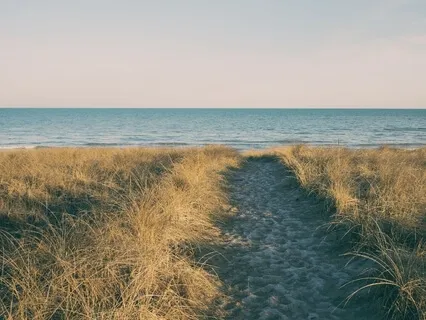 Become Calm, Centered And Focused - 20 Minute Daily Insight