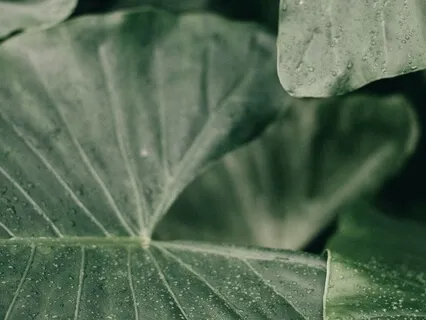 Become Comfortable Being Uncomfortable, A Guided Meditation 