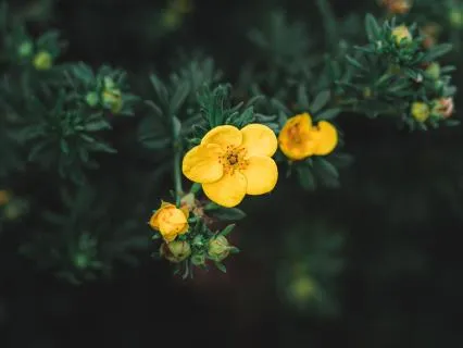 Become Fearless: Release Anxiety And Fear