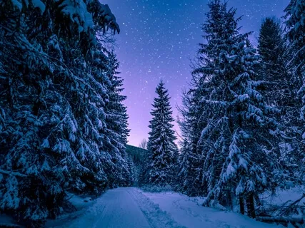 Become Forest - Deep Relaxation Visualization